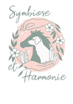 Massage pour animaux et techniques naturelles